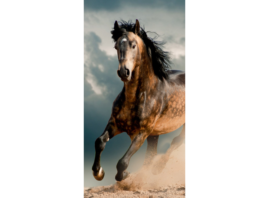 Bavlnená osuška 70x140 cm - BEST FRIENDS - Kôň