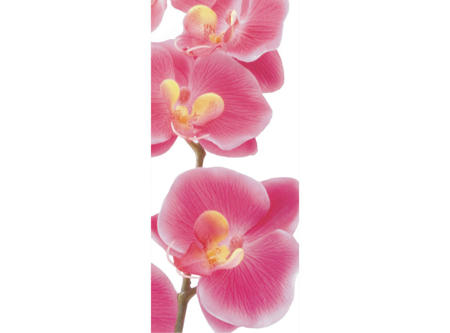 Moderné fototapety - Ružové orchidey - 90x202 cm