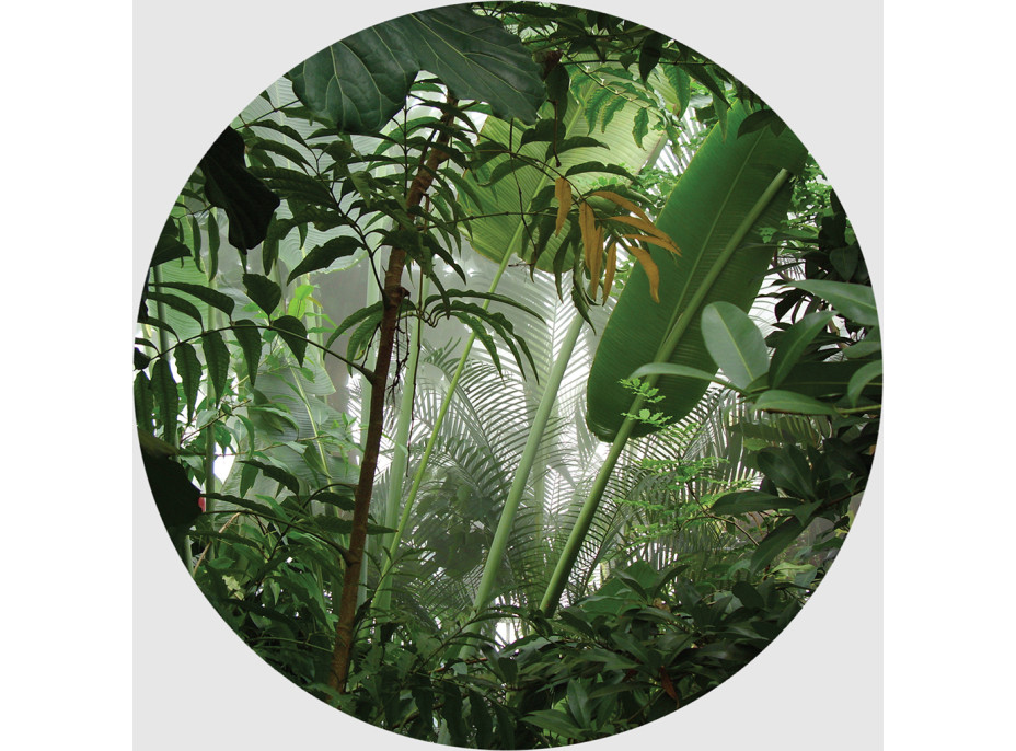 Moderné fototapety - Tropické rastliny - guľatá - 70 cm