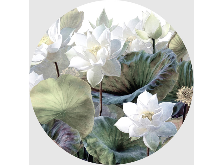 Moderné fototapety - Biele lotosy - guľatá - 70 cm