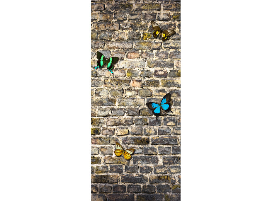 Moderné fototapety - Motýle na kamennej stene - 90x202 cm