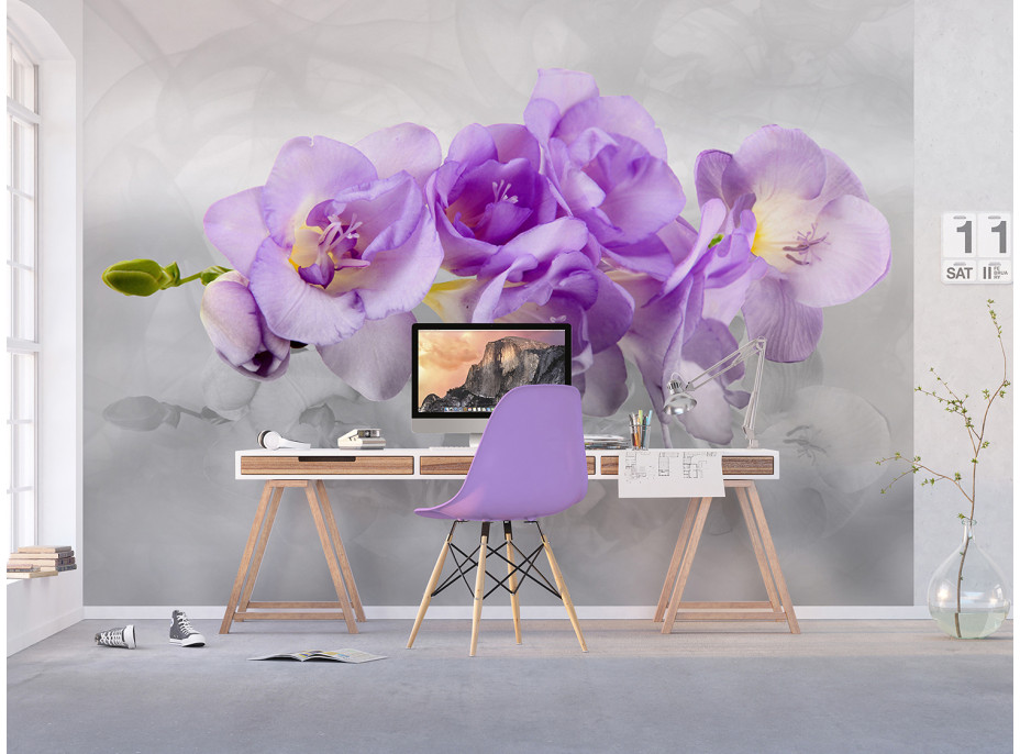 Moderné fototapety - Nežná orchidea - 360x270 cm