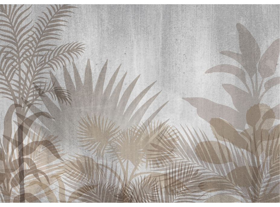 Moderné fototapety - Tropické rastliny na sivom podklade - 155x110 cm