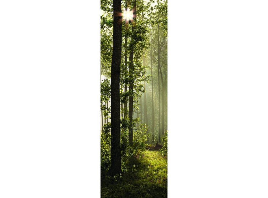 Moderné fototapety - Magický les - 90x270 cm