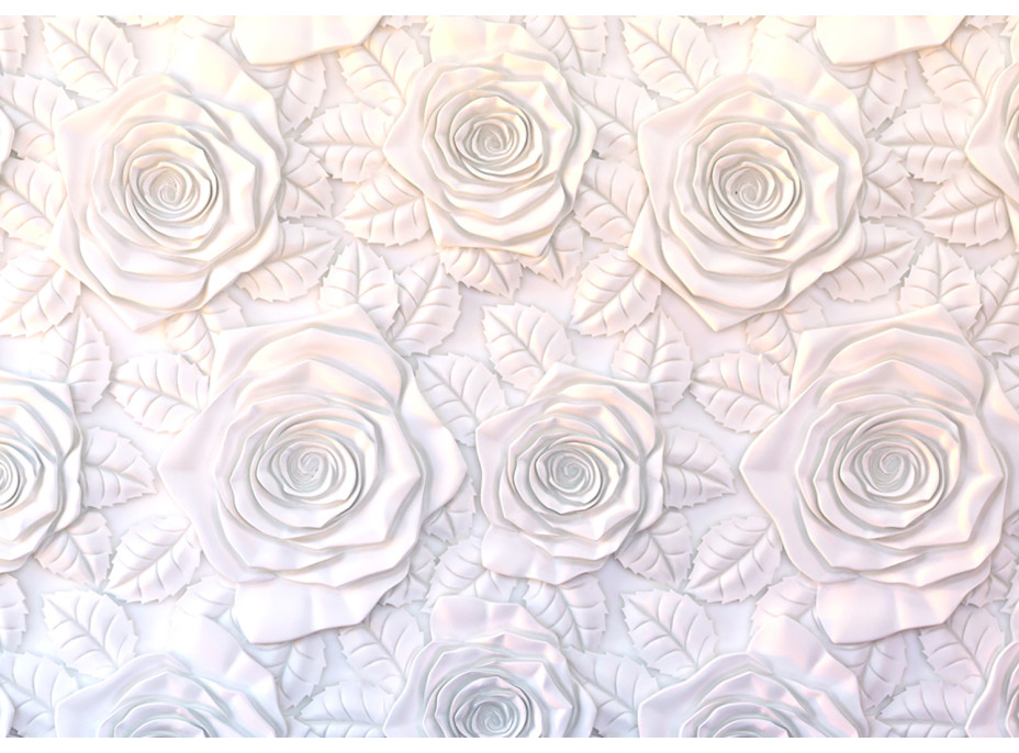 Moderné fototapety - Sadrový basreliéf ruže - 155x110 cm