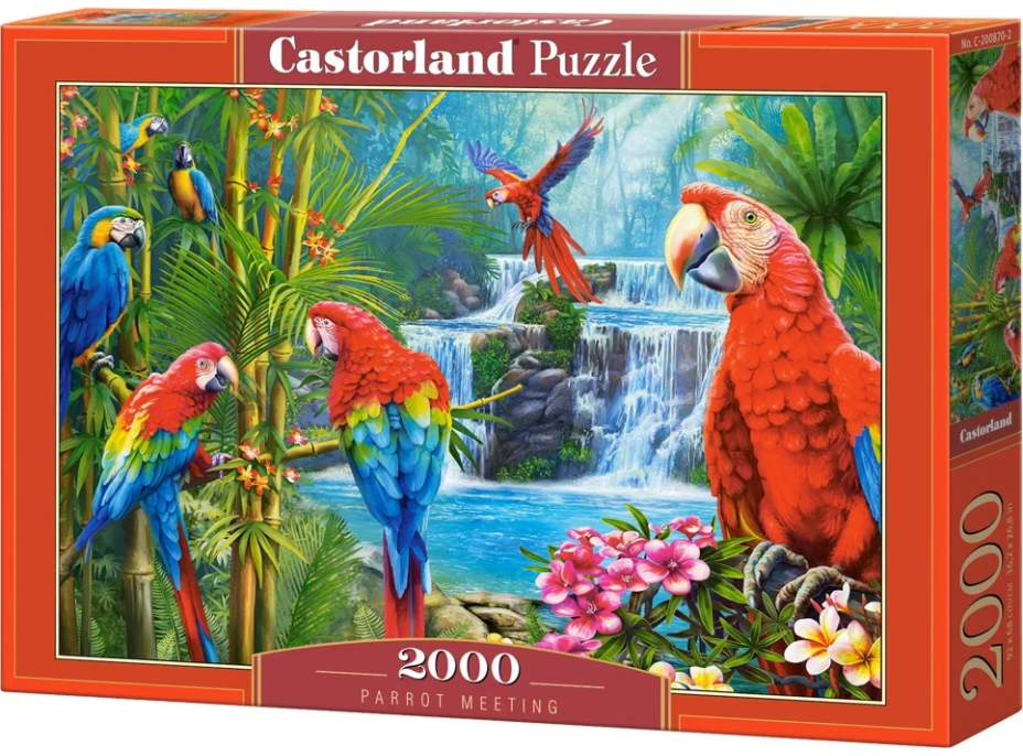 CASTORLAND Puzzle Stretnutie papagájov 2000 dielikov