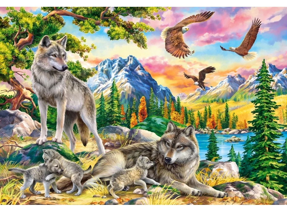 CASTORLAND Puzzle Vlčia rodinka 1000 dielikov