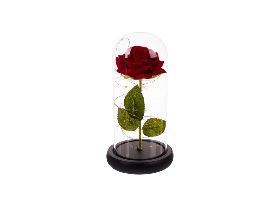 Ruža v skle - žiariaca Malatec 21619