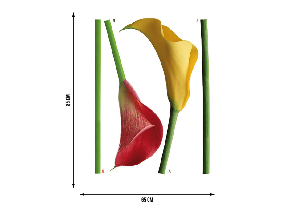 Moderná samolepka na stenu - Kaly - 65x85 cm