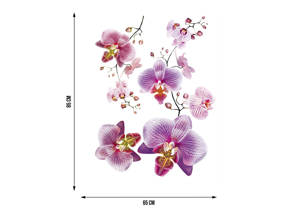 Moderná samolepka na stenu - Fialové orchidey - 65x85 cm
