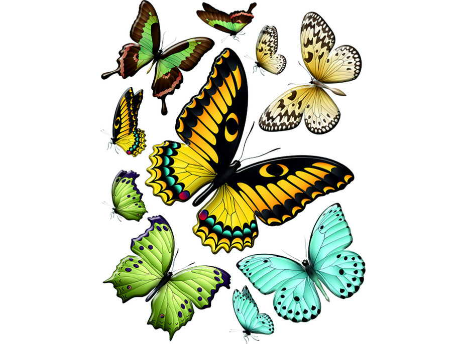 Moderná samolepka na stenu - Variácia farebných motýľov - 65x85 cm