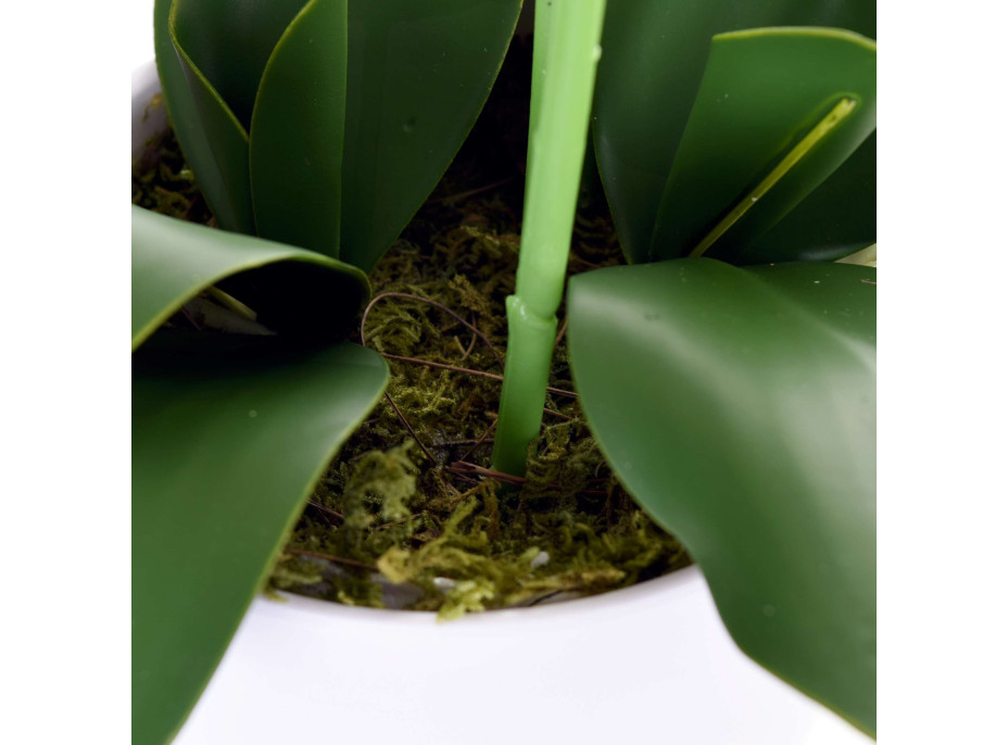 Umelá orchidea 65 cm