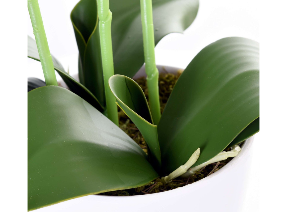 Umelá orchidea 65 cm