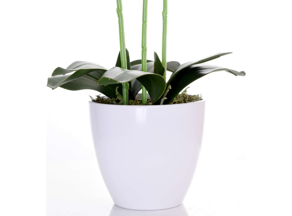 Umelá orchidea 65 cm