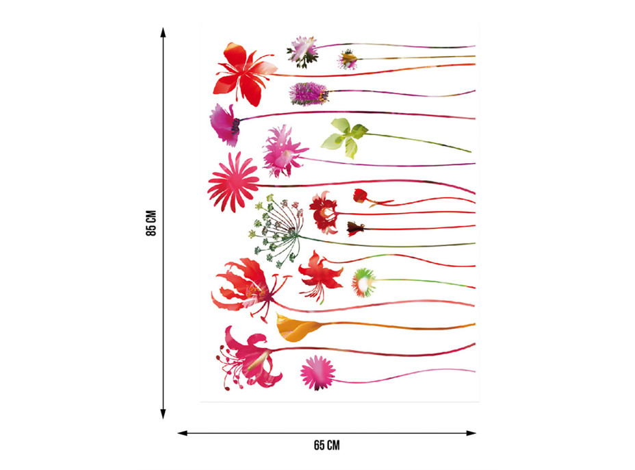 Moderná samolepka na stenu - Kvety s dlhými stonkami - 65x85 cm