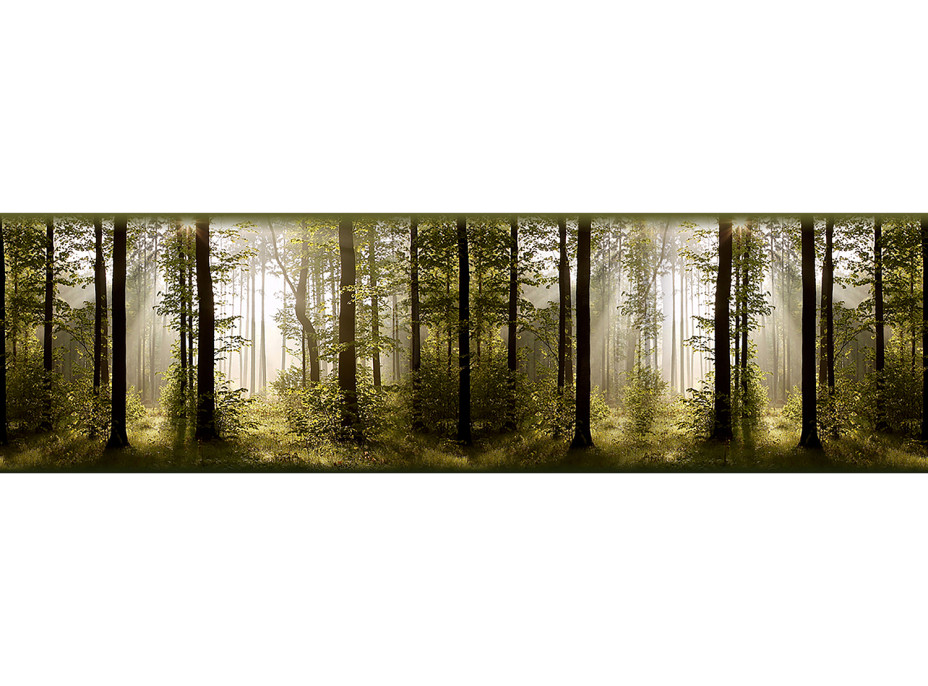 Moderná samolepiaca bordúra - Les - 14x500 cm