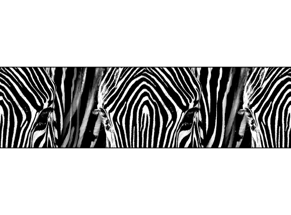 Moderná samolepiaca bordúra - Zebra - 14x500 cm