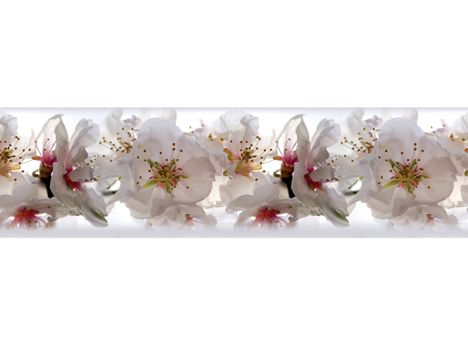 Moderná samolepiaca bordúra - Nežné kvety jabloní - 14x500 cm