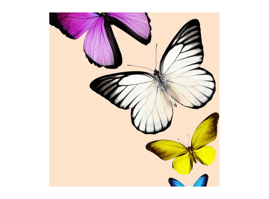 Deka BUTTERFLY 3D motýliky 150x200 cm - krémová