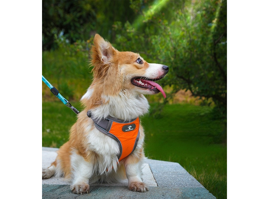 Beztlakový postroj pre psa ASTRO - pomarančový - rozmer S