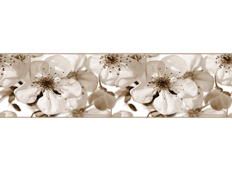 Moderná samolepiaca bordúra - Kvety jablone - 14x500 cm