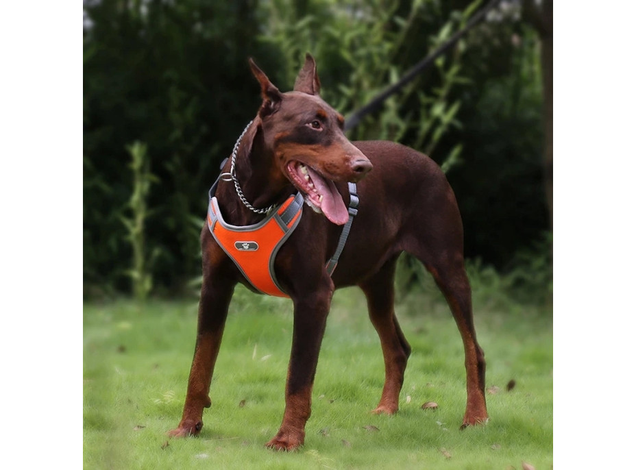 Beztlakový postroj pre psa ASTRO - pomarančový - rozmer XL