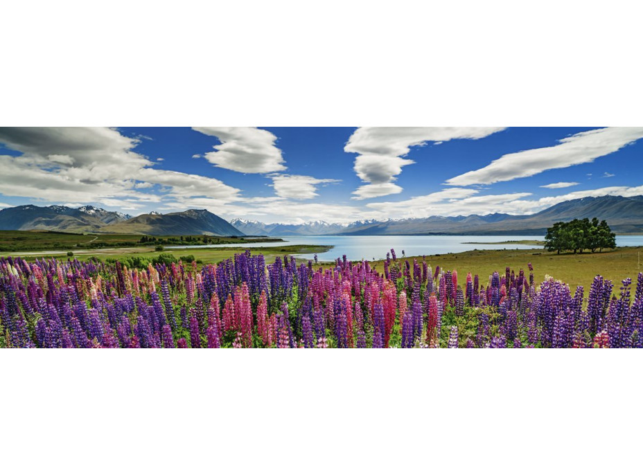 HEYE Panoramatické puzzle Jazero Tekapo, Nový Zéland 1000 dielikov