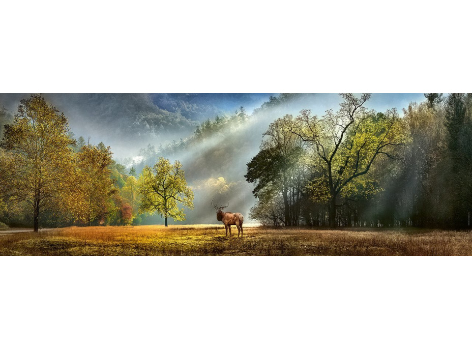 HEYE Panoramatické puzzle Ranné pozdravenie 1000 dielikov
