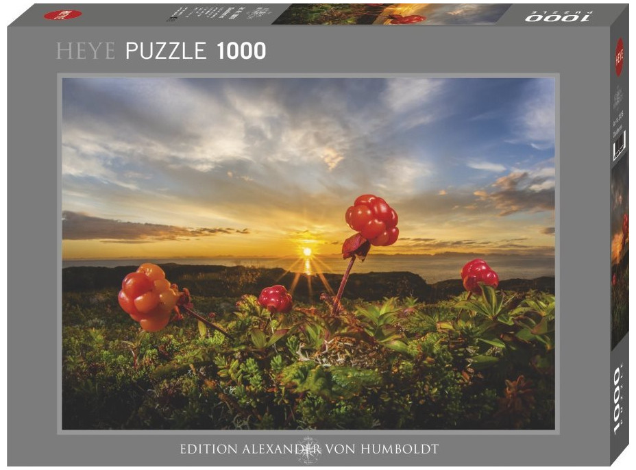 HEYE Puzzle Černice 1000 dielikov