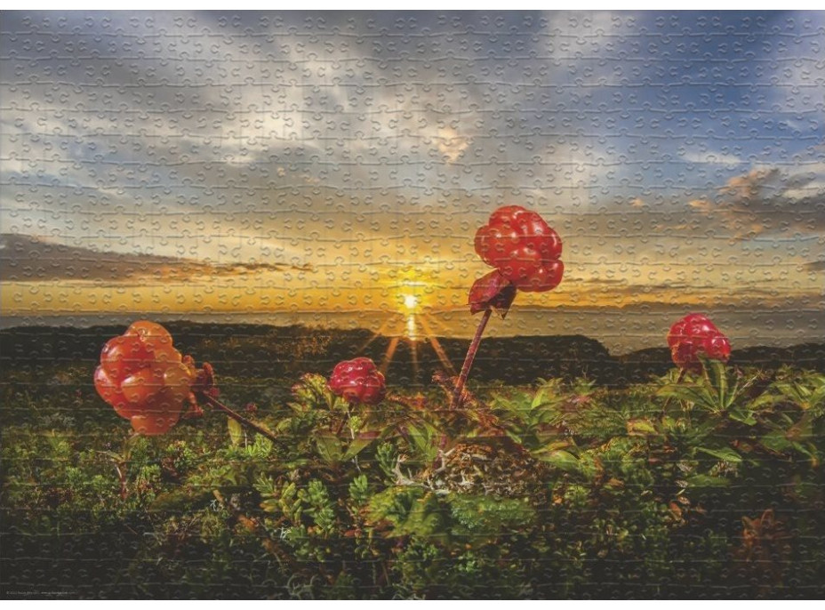 HEYE Puzzle Černice 1000 dielikov