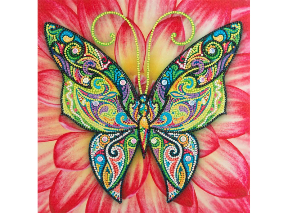 Diamantové maľovanie Orient - Motýľ
