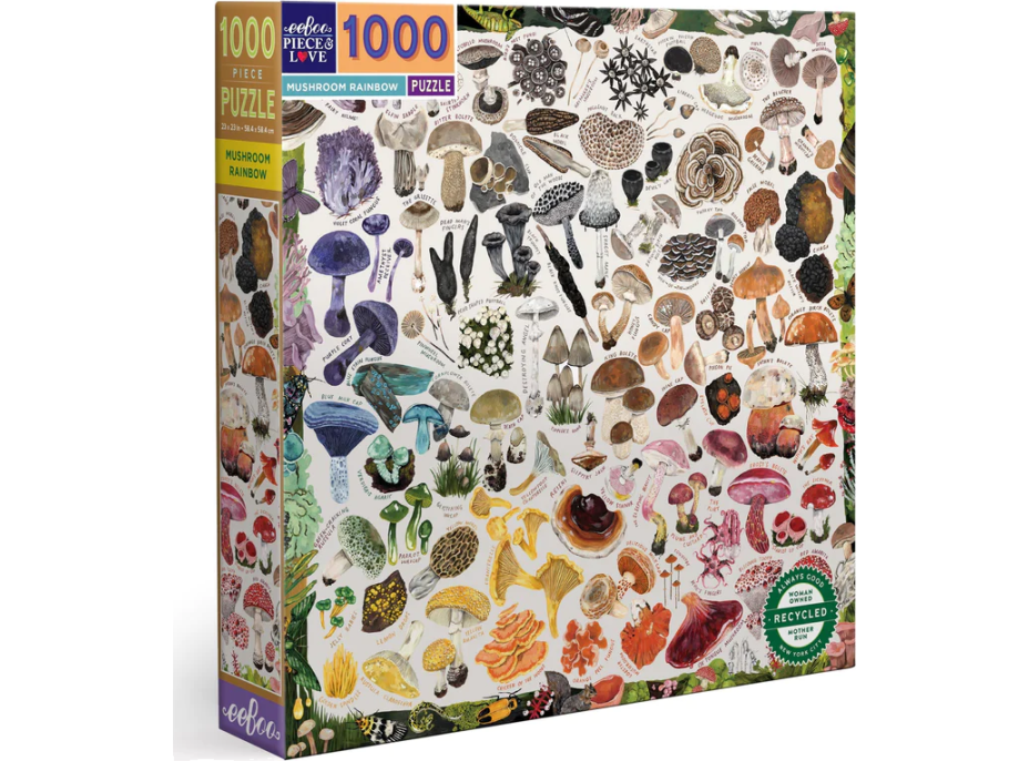 EEBOO Štvorcové puzzle Hubová dúha 1000 dielikov