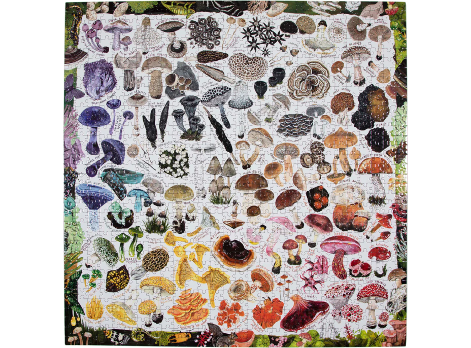 EEBOO Štvorcové puzzle Hubová dúha 1000 dielikov