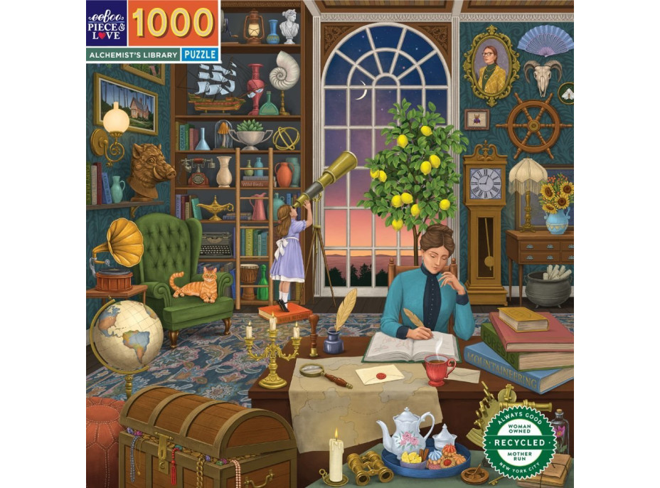EEBOO Štvorcové puzzle Knižnica alchymistov 1000 dielikov