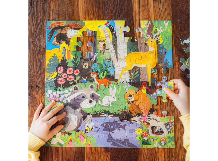 EEBOO Štvorcové puzzle Les 64 dielikov