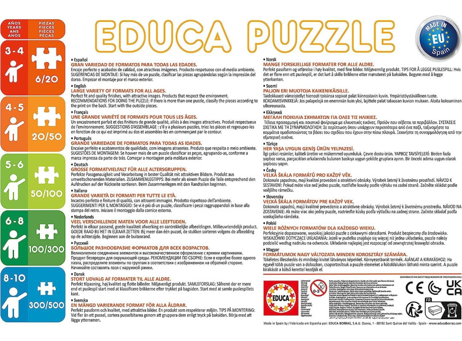 EDUCA Puzzle Medzi živlami 2x100 dielikov