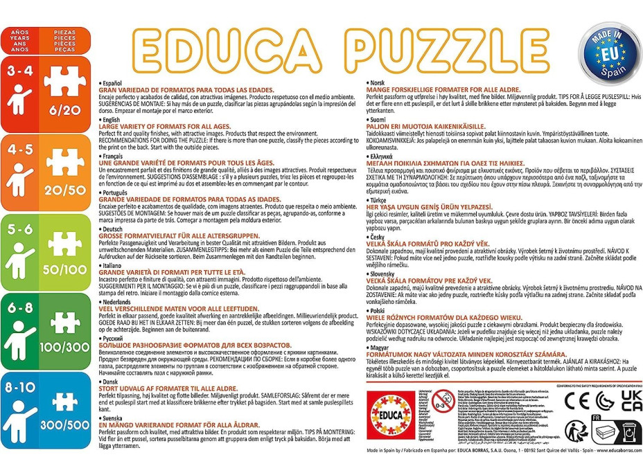 EDUCA Puzzle Medzi živlami 2x48 dielikov