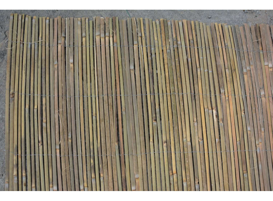 Bambusová zástena 1,2 x 3 m