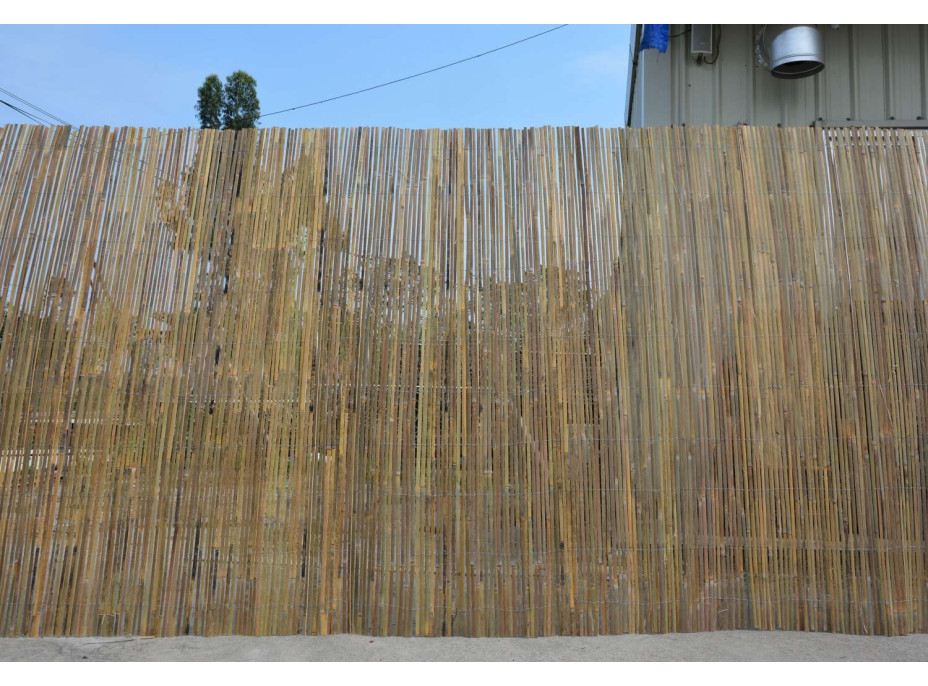 Bambusová zástena 1,2 x 3 m