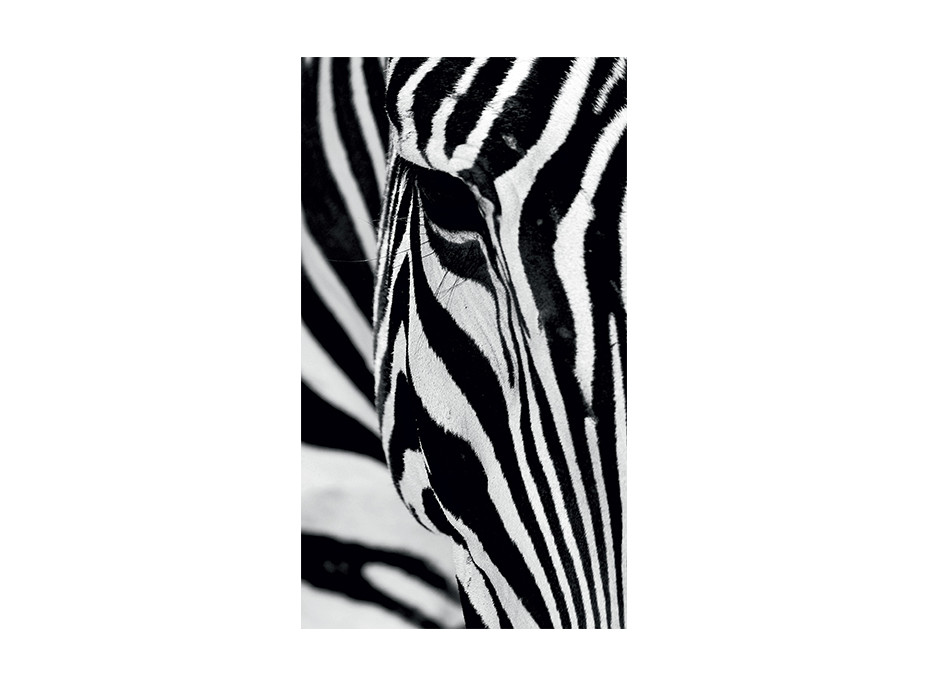 Dizajnový záves - Zebra - 140x245 cm