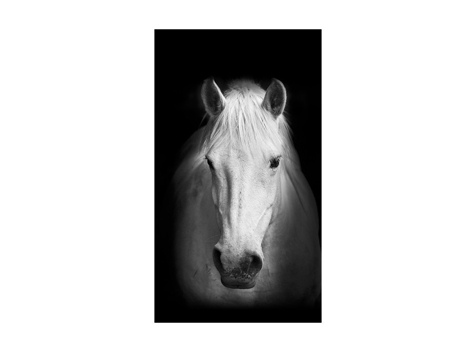Dizajnový záves - Biely kôň - 140x245 cm