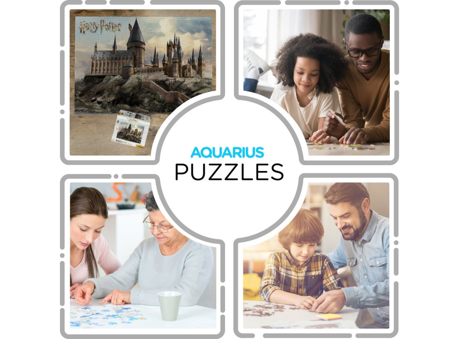 AQUARIUS Puzzle Harry Potter: Bradavice 3000 dielikov