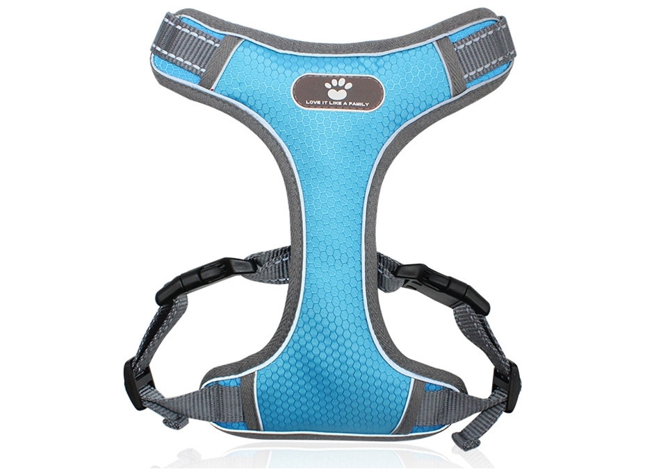 Beztlakový postroj pre psa ASTRO - modrý - rozmer XL