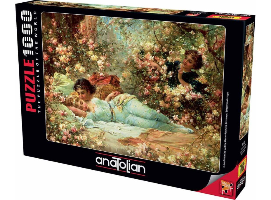 ANATOLIAN Puzzle Ružový altánok 1000 dielikov