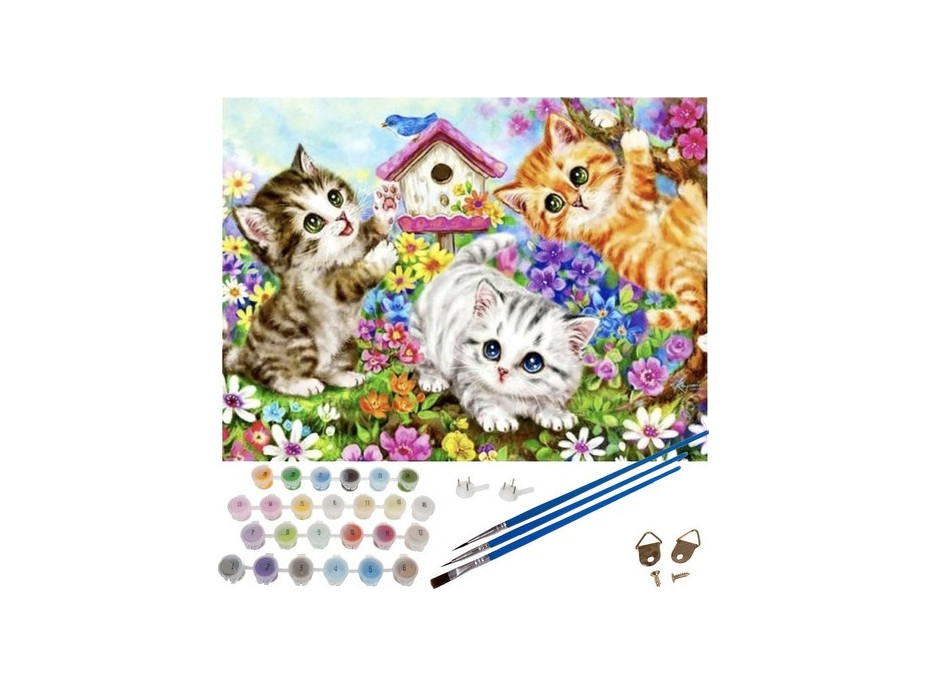 Maľovanie podľa čísel 40x50 cm - Mačičky