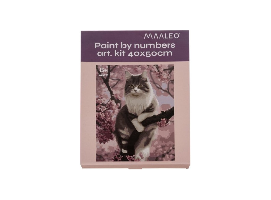 Maľovanie podľa čísel 40x50 cm - Mačka