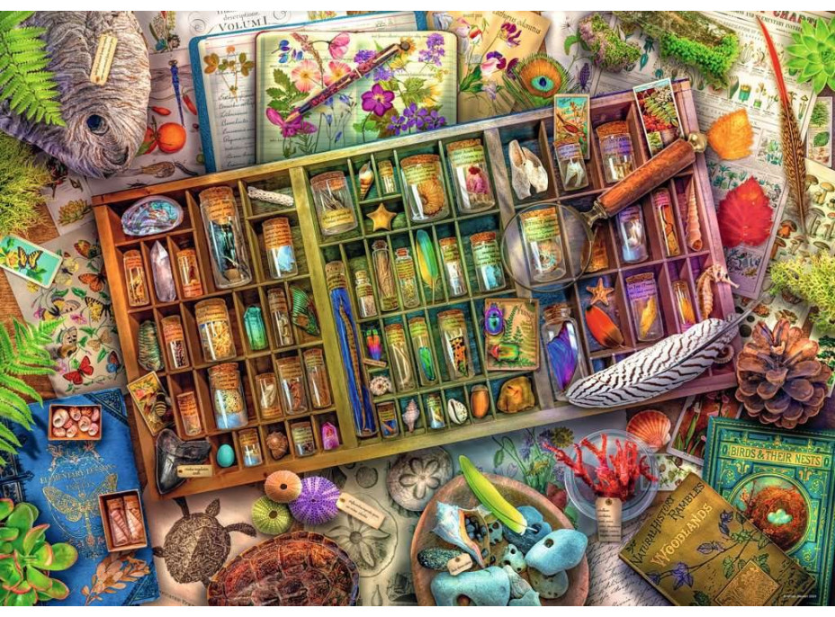 RAVENSBURGER Puzzle Prírodopisná zbierka 1000 dielikov