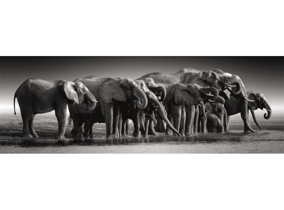 CLEMENTONI Panoramatické puzzle Stádo slonov 1000 dielikov