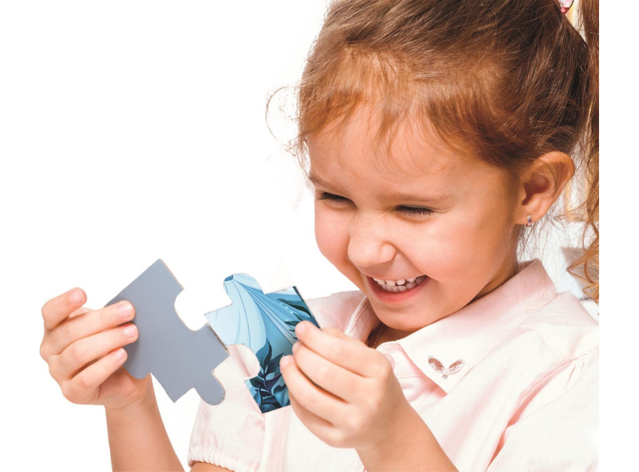 CLEMENTONI Puzzle Sonic MAXI 104 dielikov