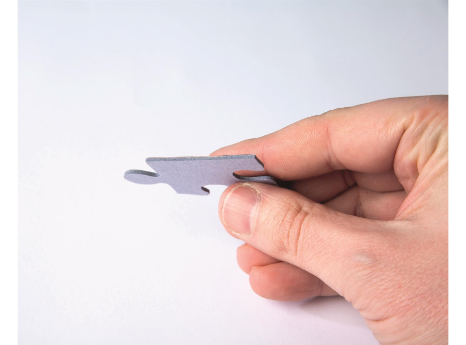 CLEMENTONI Puzzle Sonic MAXI 104 dielikov